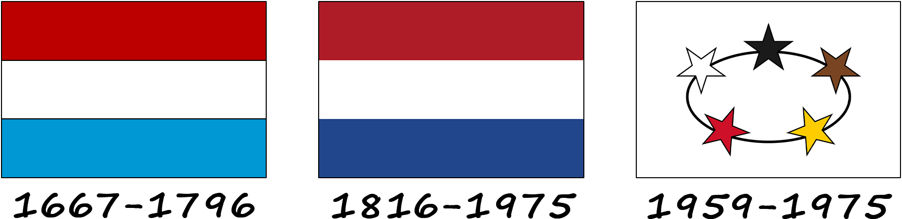 História da bandeira do Suriname